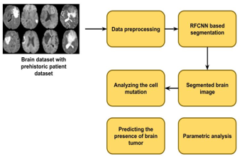 Proposed Architecture for brain tumor detection