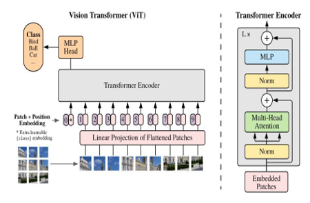 General architecture of Vision Transformer VIT