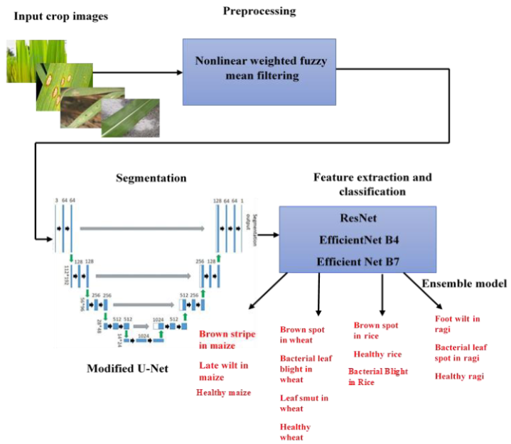 Architecture of Ensemble crop disease identification model