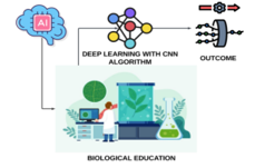 . Graphical representation of AI in optimization of biological education.