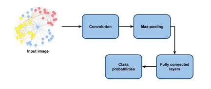 Simple schema of processing information in CNNs with one convolutional layer, one pooling layer and two fully-connected hidden layers