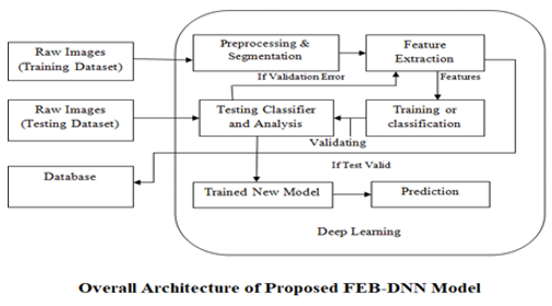 The System Design of Skin Illnesses Classification using FEB - DNN Model